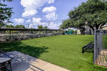 Dog park
